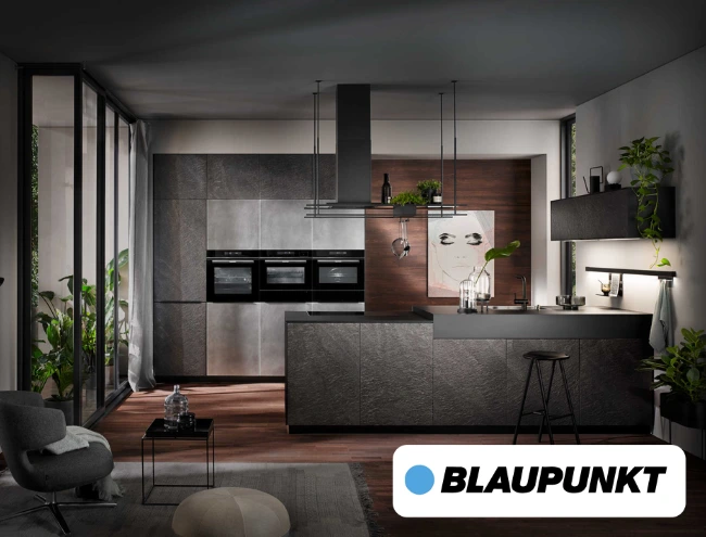 blaupunkt (1)